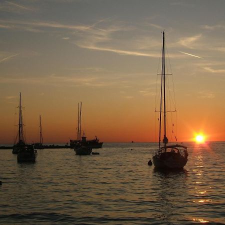 Tamaris, 600 M From The Beach Novigrad Istria Buitenkant foto