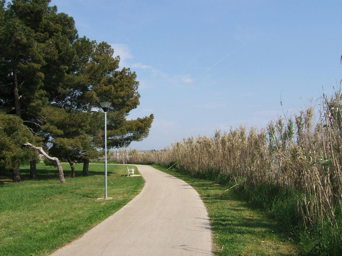Tamaris, 600 M From The Beach Novigrad Istria Buitenkant foto